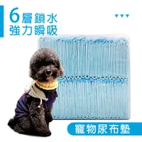 在飛比找PChome24h購物優惠-【M號-45x60cm-50入】 寵物尿墊 犬用尿墊 貓用尿