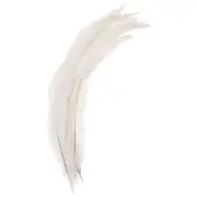 16-18 Inch Rooster Feathers, 10 Pack Bulk Natural Feathers Style 1, White