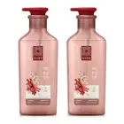 DONG UI HONG SAM Plum Blossom Red Ginseng Shampoo 500ml(16.9oz)x2pcs Elasticity