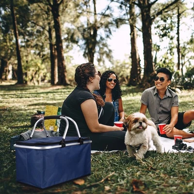 Thermal Basket Large-capacity Picnic Insulated Foldable Baskets Clearance