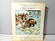 12 Color Animal Prints by Walter Alois Weber Wild Animal 1950's