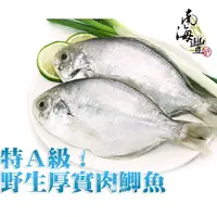 在飛比找蝦皮商城優惠-南海豐【特A級！野生厚實肉鯽魚】2尾入共250g-300g 