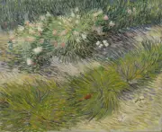 van Gogh - Grass and butterflies Giclee Fine Art Print on Canvas Printing 36"