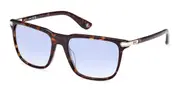 BMW BW0037 52W Men's Sunglasses Tortoiseshell Size 56