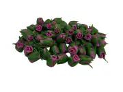 25 PCS Pink Clay Rose Flower Bead for Jewelry Making Garland DIY Craft Supplies