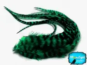 6 Pieces - PEACOCK GREEN Thick Long Grizzly Rooster Hair Extension Feathers