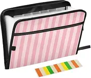 Peach Vertical Stripes File Folder Organizer 13 Pockets A4 Letter Size Document Folder with Zipper Closure Expanding Hanging File Folder for Office