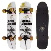 Sector 9 Unisex Ninety Five Coil Complete Skateboard, Adult, Asst, 30.5