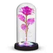 Preserved Roses - Eternal Glass Rose with LED Lights & Timer - Coolest Gifts ...