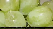 Buy Grape Vine Menindee Seedless - Vitis vinifera
