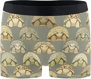 [FRODOTGV] Water Turtles Mens Boxer Brief Shorts Breathable Underwear for Men Underware Boxer Para Hombre