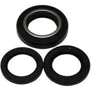 All Balls 25-2108 Differential Bearing and Seal Kit