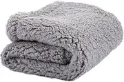 BESPORTBLE Pet Mat Dog Puppy Blanket Plush Throw Blankets Pet Blanket Mat Fluffy Fleece Blanket Winter Pet Blanket Small Pet Blanket Dog Mat Plush Blanket Pets Puppy Blanket Mat Grey Sherpa