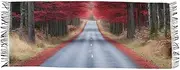 [AIXIWAWA] Art Road Women's Pashminas Scarf, Shawls Wrap Lightwight Tassel for Evening Dress Dinner Party, Multicolor