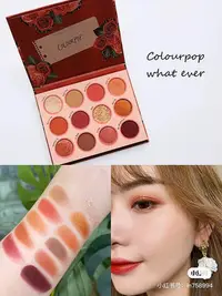 在飛比找Yahoo!奇摩拍賣優惠-colourpop豹紋盤whatever十二色眼影盤