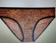 XL/8 OLD NAVY SeXy Cheetah Animal Print Mesh BIKINI Underwear NWT