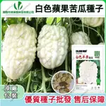 🥬白色蘋果苦瓜種子🥬原廠包裝(約5-12粒)厚肉白皮苦瓜甜脆爽口可生喫農田菜園菜種子盆栽植物蔬菜青菜家庭陽台