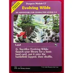 [LUCKY] 🌸魔法風雲會 MTG🌸 被遺忘國度戰記 (AFR) 成形野地 EVOLVING WILDS