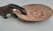 Hammered Solid Copper Closed Rings Jewelry Tarnish-Resistant 9 Pcs 29 Grams MIX