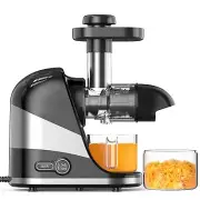 Juicer Machines Slow Masticating Juicer Cold Press Juicer for Fruits & Vegetable