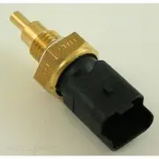 RAE Coolant Temperature Sensor - CS908