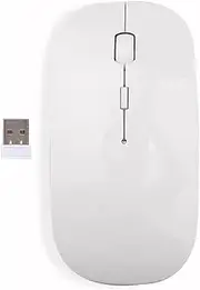 Spendeal Portable Wireless Mouse, 2.4 GHz with USB Receiver, 3 Adjustable 800/1200/1600 DPI Optical Tracking Mouse, AAA Battery Powered, Computer Mouse Compatible with PC, Mac, Laptop (White)