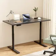 Artiss Standing Desk Electric Sit Stand Desks Motorised Dual Motor Black 140CM