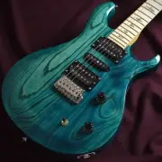 Paul Reed Smith PRS SE SWAMP ASH SPECIAL