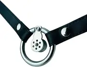 Inverted Chastity Cage Sex Toys Chastity Lock with Chastity Belt Couple Lock Chastity Device Penis Cage Erection Ring Bondage for Lover SM Penis Ring Male Cage Beginner Cage