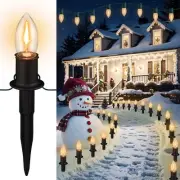 C9 Christmas Pathway Lights Outdoor LED - 24.2 Feet String Lights with 20 Bul...
