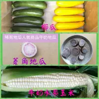 在飛比找蝦皮購物優惠-櫛瓜25斤2500元 安全無毒櫛瓜 未檢出 黃色綠色隨機出