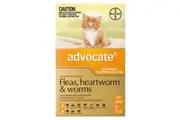 Advocate for Cats For Kittens & Small Cats Up To 4Kg (Orange) 12 Pipettes
