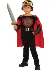 Little Knight Medieval Boys Fancy Dress Costume
