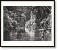 在飛比找誠品線上優惠-Sebastião Salgado. Amazônia (A