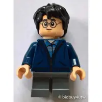 在飛比找蝦皮商城優惠-LEGO人偶 HP153 Harry Potter (759