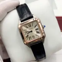 在飛比找蝦皮購物優惠-手錶瑞士男士山度士系列石英男表腕錶W2SA0011銀盤皮帶3