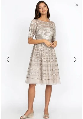 NWT Johnny Was Champagne Beaded Lace Mesh Dress Size XS