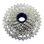 DNP 10 Speed Screw-on Freewheel 11-34T Nickel Plate