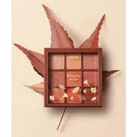 在飛比找蝦皮購物優惠-【Etude house】愛麗小屋 Maple Road 九