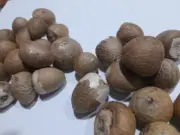 Ceylon Dried Betel Nut 100% Fresh Organic Nuez De Betel Seca/ Sri Lanka