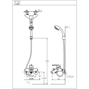 和成 HCG BF520T 生物能科技沐浴龍頭 龍頭 不含安裝