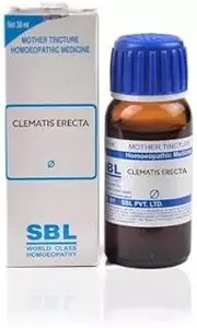 CLEMATIS ERECTA Q 30 ML SBL