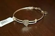 #123 Alex and Ani Silvertone Bangle Steady Vessel