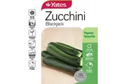 Yates Zucchini Blackjack Seeds 2 G