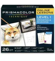 Prismacolor Techique Fox Level 1 drawing& shading 26ct