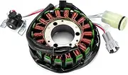 Wivplex Generator Stator Coil, for YAMAHA, YFM125G Grizzly 125 2004-2013 YFM125GH Hunter 2005-2008 YFM 125G 1C5-81410-00 1C5-81410-01 Motorcycle Ignition Coil
