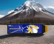 CUSTOM DIM Renamon EX DIGIMON DIM Vital Bracelet/VITAL HERO Dim Card