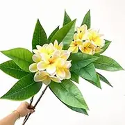 XIYUAN 35.5 Inch Artificial Flowers Artificial Frangipani Flower 2 Stems Lifelike Real Touch Artificial Plumeria Flowers for Home Party Wedding Bouquet Home Decoration (Yellow)