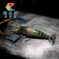 在飛比找台灣好農優惠-(綜合3盒組)【蝦正甜泰國蝦】公蝦(11-13)x1、紅頭母