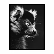 Tiger Animal Art Framed Print Fine Art Poster Print